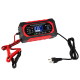 Prostownik automatyczny 12V/8A-24V/4A BLOW